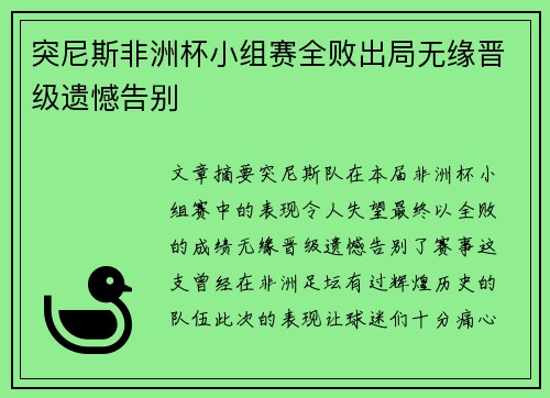 突尼斯非洲杯小组赛全败出局无缘晋级遗憾告别